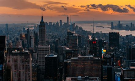 Que faire à New York sans se ruiner : le guide complet des activités gratuites et pas chères